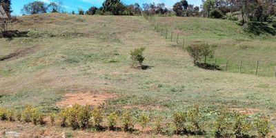 Hermoso lote en conjunto cerrado de seis lotes, ubicado en Guarne vereda la Clara, en este lote podras encontrar topografia mixta ondulada, su POT permite construir dos viviendas, cuenta con servicios de agua y Luz. Via de acceso pavimentada dentro del conjunto. Cuenta con dos ingresos por la autopista Medellin Bogota, o por el parque de Guarne. "Que esperas para conocerlo y conectar con la Naturaleza"
