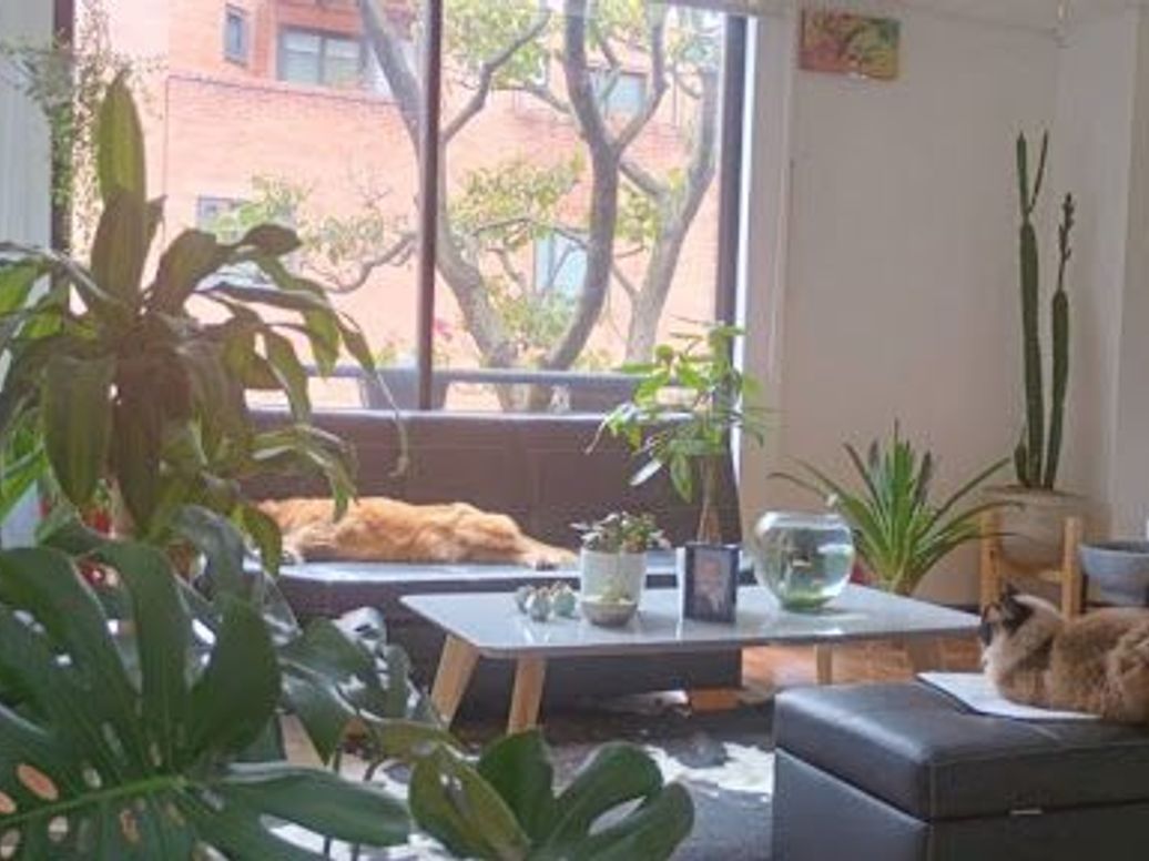 Apartamento de 2 alcobas en venta en Chapinero Norte, Bogotá, 52 m² · foto 2 de 8