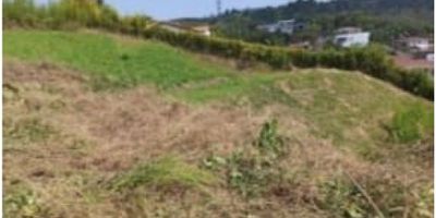 Lote en excelente sector, se puede construir pero el lote tiene una torre de energía, así que se deben tener en cuenta las restricciones que el propietario no conoce, energía si tiene pero acueducto no sabe.
