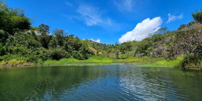 Venta de Lote ubicado en El Peñol, Antioquia, a 6 km de la cabecera municipal del Peñol y a una hora y media de Medellín.

El lote cuenta con un área de 54.146 m2 y una topografía ondulada. El sector está dotado de servicios públicos, tales como energía eléctrica, telecomunicaciones, acueducto, alcantarillado y gas por medio de cilindros.

Ubicado en una zona de alta mixtura, este lote se encuentra cerca de la represa, en una zona turística recreativa con grandes atractivos paisajísticos naturales. El predio ofrece una gran vista a la represa y sus alrededores, lo que lo convierte en una ubicación privilegiada.

Predial anual $5.500.000.
