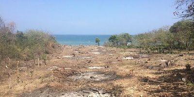 Venta de lote con playa en Cartagena, Bolívar, una oportunidad para inversión o desarrollo. Este extenso terreno cuenta con 230,000 m², ideal para diversos proyectos en la ciudad. El lote en Cartagena dispone de escritura de posesión y está ubicado en estrato 3. Su acceso a playa propia lo convierte en una propuesta de gran valor. Interesados en este terreno en venta en Bolívar, pueden contactarnos vía WhatsApp, seleccionar quiero que me contacten o consultar ver teléfonos para más información.