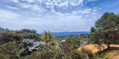 Vendo lote a 2.5 km de la autopista Medellín- Bogotá, vereda la Clara de Guarne, 1834 m2 de lote, 541 m2 de explanación, escritura 100%, acometidas de energía y agua, Ptar, portón eléctrico, kiosko, senderos, Lugar lleno de naturaleza y una agradable vista.