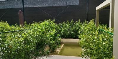 Aparta suite ubicada en sector   Morros  consta de un solo espacio con cocina , baño , zona de labores y piscina privada ,y parqueadero  El edificio cuenta con amplias zonas sociales , piscina e  adultos , piscina de niños , gimnasio , salón   de eventos , parque infantil , zona de solárium ,parqueaderos para visitantes y recepción 24 horas , 