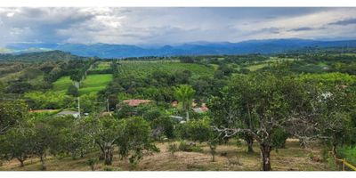 ? Lote en Venta en Las Margaritas - Cambia, Manizales ?

✨ Características del Terreno:


 Área Total: 1,509 m².
 Estrato: 1.
 Ubicación: A solo 15 minutos del CAI de Cambia, en el sector Las Margaritas, vía Pacífico 3.


? Ventajas del Lote:


 Vista Panorámica: Disfruta de paisajes espectaculares rodeados de naturaleza.
 Entorno Natural: Árboles frutales, zonas verdes y espacio ideal para actividades al aire libre.
 Versatilidad: Perfecto para desarrollar proyectos turísticos, zona de camping o una finca campestre.


? Ubicación Estratégica:


 Sector tranquilo y en contacto con la naturaleza.
 Acceso fácil y cercano a zonas urbanas.


? ¡Una oportunidad única para construir tu sueño en un entorno natural y relajado!

? Contáctanos para más información o para agendar una visita.


