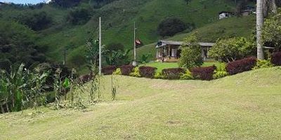 Lote para venta en Combia, Pereira. Cuenta con un área total de 3100 m2,planos, excelente divisa. Matricula inmobiliaria se entrega en en el mes de julio de 2025.  