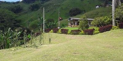 Lote para venta en Combia, Pereira. Cuenta con un área total de 3100 m2,planos, excelente divisa. Matricula inmobiliaria se entrega en en el mes de julio de 2025.  