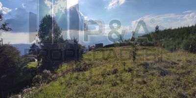 ¡Inversión única! Terreno de ensueño en zona privilegiada de Las Palmas
¿Estás buscando un terreno en una de las zonas más exclusivas y tranquilas de Medellín para construir tu futuro hogar? ¡Tenemos la propiedad ideal! 
Presentamos un hermoso lote de 16.000 m2, ubicado en la prestigiosa zona residencial de Las Palmas. Este privilegiado terreno limita al frente con la calle Principal y al fondo con la quebrada, lo que lo hace único por su topografía y paisaje natural. 
La ubicación es inmejorable, a solo minutos de los mejores colegios y universidades de la ciudad. Además, está rodeado de transporte público, centros comerciales y restaurantes para hacer tus actividades diarias sin preocupaciones. 
El barrio Las Palmas es reconocido por su tranquilidad, seguridad las 24 horas y por contar con todas las comodidades a la mano. Sin duda, es uno de los sectores más valorados y cotizados de Medellín para vivir.
Esta es una oportunidad única para adquirir un terreno de gran tamaño, en una de 