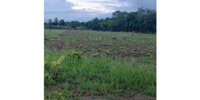 Lote Plano.

Lotes a 5 minutos de aeropuerto Antonio Roldan Betancur. Hay carretera hasta la vereda y luego acceso a cada lote por terminar. Vía privada solo para acceso a los lotes. Tienen agua con tanques elevados y ya están instalando acueducto.

Lote con opción de diferentes areas desde:
6   x 14   $ 12.000.000  c/u
10 x 43   $ 36.000.000  c/u
O se puede elegir de acuerdo a la neccesidad el frente del lote desde 15 metros hasta 4 hectareas con el fondo de 43 metros.

Valor metro $ 65.000
