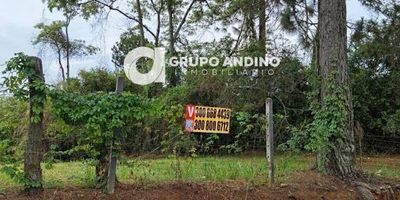 LOTE EN VENTA EN LA MESA DE RUITOQUE EN LA VEREDAD VILLA PATRICIA CON AREA DE 2374 METROS CUADRADOS   el código Inmobiliario 1420-113 Contáctanos Agenda tu cita y con gusto te asesoramos.Contactos 3241439363- 3025361346 Somos GRUPO ANDINO INMOBILIARIO, con nosotros tendrás tus trámites más fácil y rápido.
