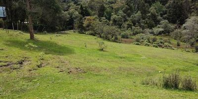 Venta de lote en Santa Elena, con una zona de reserva natural donde puedes practicar senderismo y conectarte con la naturaleza, ideal para construir una casa campestre, o si lo que deseas es emprender tu propio negocio bien sea un vivero, criadero de animales Etc. este es el lugar para hacerlo real, a solo 4 minutos del parque de Santa Elena sobre vía pavimentada, y a 5 minutos de la vía principal, cerca de colegios, D1 y bombas de gasolina, contáctanos.   