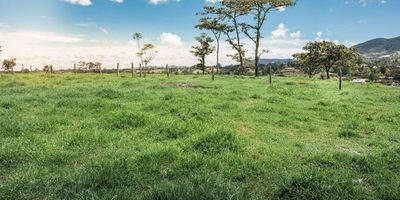 Codigo 26653. ? Lote en venta ubicada en Rionegro sector El Yarumo? Lote plano de 1.560 m² ubicado en una exclusiva parcelación en la vía San Antonio - Rionegro, a solo 25 minutos del Aeropuerto Internacional José María Córdova. Ideal para quienes buscan tranquilidad, naturaleza y una excelente ubicación.? Precio: $800.000.000Características del lote y la parcelación:✅ Portería y vigilancia 24/7✅ Zonas comunes para el disfrute de los residentes✅ Entorno natural y exclusivo✅ Cercano a la vía principal, con fácil acceso¡Aprovecha esta oportunidad de inversión en una de las zonas de mayor crecimiento y valorización en el Oriente Antioqueño! Contáctanos para más información.