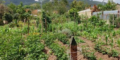 Lote de 700 m2 de terreno ubicada en la vereda Fonquetá en Chía. Excelente ubciación y de buena amplitud, documentos al día. 