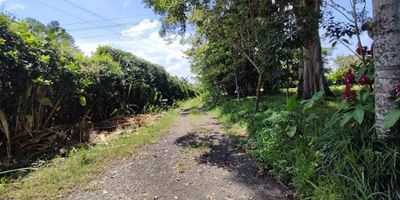  Lote en Venta – Cerritos, Vía La Virginia 
¡Invierte en una de las zonas con mayor crecimiento y valorización! Este lote es ideal para construir la casa de tus sueños, una finca campestre o un proyecto de inversión.
Ubicación privilegiada: Con fácil acceso, entorno natural y clima ideal.
Características:
Amplia extensión de terreno
Excelente topografía y ubicación estratégica
Zona de alta valorización y desarrollo
Entorno tranquilo y seguro, rodeado de naturaleza
A pocos minutos de Pereira y principales vías

¡No dejes pasar esta oportunidad! Contáctanos para más información y agendar una visita.

