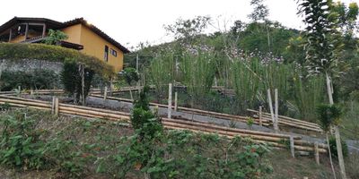 Se vende lote con casa en Lago Calima, terreno de 9000 m2 . Tiene vias de acceso, servicios. Lotes urbanizables o para complejo turistico todos con vista. 

Localizacion: a 1.5 km de la plaza central del Darien. 

Se vende con la casa ppal de 100 m2 la cual consta de  2 baños completos. 3 habitaciones. Sala comedor. Cocina integral. Bodega y explanadas con posibilidad de ampliar 2 cuartos mas con baños. El lote tiene energia, vias paymentadas, porteria y acueducto  interno. Desechos organicos en pozo septico