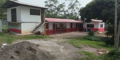 Finca a 4 km de la Virginia, cuenta con 198.400 mts2, cuenta con establo, corrales, báscula para pesar ganado, galpón para 700 gallinas, 2 casas para casero, la casa principal está para remodelación... Para mayor información comunícate con nosotros, Castellón Inmobiliaria. 
