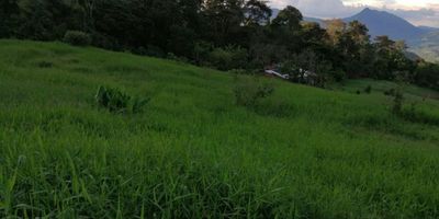 LOTE EN VENECIA SEMI PLANO ENTRADA POR BOLOMBOLO


CARACTERISTICAS:


 Área 6000 
 Semiondulado
 2 aguas propias acueducto veredal 
 Escrituras al orden del día 
 Sin humedades ni aguas subterráneas 
 Vía de acceso en placa huella al sector y destapada hasta el lote a 10 minutos del parque principal entrada por la vía a Bolombolo .
 Precio de venta $500 millones negociables.


Consulteme para mas detalles!