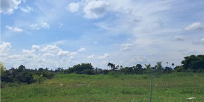 Lotes en venta en un exclusivo proyecto de casas campestres en el sector de Pueblito Cafetero, Pereira. Este condominio único cuenta con 120 casas diseñadas en un estilo mágico, rodeado de más de 370.000 m², donde el 90% son áreas verdes, bosques, senderos y guaduales, y solo el 10% destinado a vías y viviendas. Disfruta de transitar por avenidas verdes, bulevares rodeados de palmas, y espacios de encuentro como salón social, cancha de tenis, cancha múltiple y 3.5 km de senderos peatonales, ofreciendo una conexión única con la naturaleza. Contamos con una variedad de lotes desde 1.900 m², con precios desde $560 millones. La construcción de tu casa puede iniciar desde $650 millones en obra gris y $800 millones con acabados, dependiendo del tipo de casa que elijas construir. Puedes adquirir tu lote y construir la casa de tus sueños, conservando el estilo del conjunto y con un análisis previo de planos, o elegir la opción de recibir tu casa construida a tu gusto, con varios diseños disponibles y valores adicionales que puedes consultar. ¡Llámanos ya mismo! Agenda una visita sin compromiso y conoce todo lo que este mágico proyecto en Pueblito Cafetero tiene para ofrecer.
