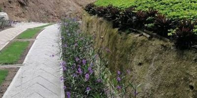 Se Vende Lote Independiente Terreno Mensuli Vereda la Cuchilla – Piedecuesta 
Ubicado en la vereda la cuchilla terreno rural Mensuli a un minuto del HIC por detrás del geriátrico, zona residencial tranquila, zonas verdes, fácil acceso a vías principales, colegios y restaurantes.
Características del lote: área: 7.600 m2, posee recursos naturales, esplendidos nacimientos de agua, variedad de árboles exóticos y frutales, senderos naturales disponible para el desarrollo de casa campestre, para cabañas glamping airbnb, sede social para empresa especial para tratamiento de agua potable y zonas verdes.
VALOR: $1.520.000.000 
pregunta por él, bajo el código Inmobiliario 1420-162 ¡Contáctanos! Agenda tu cita y con gusto te asesoramos.
Contactos: 3008006712
Somos GRUPO ANDINO INMOBILIARIO, con nosotros tendrás tus trámites más fácil y rápido.
