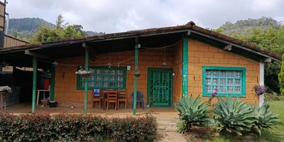 Se renta casa comercial en Guarne de 100m, sobre la Autopista Medellin-Bogota! Espacio ideal para tu negocio, con amplias zonas verdes y excelente visibilidad. Cuenta con disponibilidad y adecuacion segun las necesidades de tu empresa. Ubicacion estrategica, con alto trafico vehicular y facil acceso. Perfecta para ventas, oficinas o distribucion. Aprovecha esta gran oportunidad! Contactanos para mas informacion y agenda tu cita para conocerla.