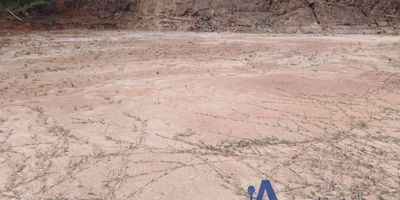 Vende Integridad, inmobiliaria experta en administración y arrendamientos de apartamentos, casas, locales, bodegas y oficinas, Medellín y toda el área Metropolitana.