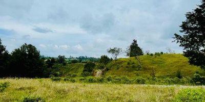 Descubre este increíble lote ubicado en un entorno natural único. Cuenta con agua natural y una entrada privada exclusiva para tan solo 9 lotes, garantizando privacidad y tranquilidad. Además, dispone de servicios básicos como agua potable y electricidad completamente asegurados.El terreno ofrece múltiples posibilidades:
Construcción de hasta 3 niveles.Cultivo en hasta el 60% de su extensión.Adicionalmente, el lote incluye un encantador bosque nativo que resalta su conexión con la naturaleza, así como escrituras al 100% y matrículas inmobiliarias independientes, asegurando un proceso de compra transparente y sin complicaciones.Disfruta de vistas panorámicas excepcionales y la serenidad de una ubicación retirada del casco urbano de Guarne. ¡Una oportunidad única para construir el hogar o proyecto de tus sueños en un lugar lleno de paz y belleza!