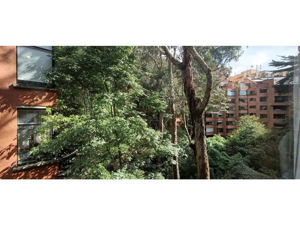 Apartamento de 3 alcobas en venta en Chapinero, Bogotá, 202 m² · foto 11 de 15