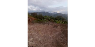 Venta lote en San peregrino muy bien ubicado, excelente opción para invertir, lote rural con un área de 1.600 y 1.260 mts2, sector muy apetecido, vista a los atardeceres, acceso a agua y luz. 
