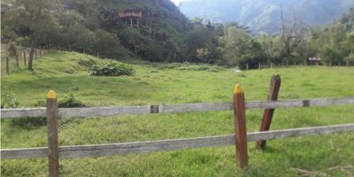 Lote en venta en Manizales, Caldas. Ubicado en la Vereda El Guineo, sector Lisboa, este terreno de 1500 m² se presenta como una oportunidad en una zona con buen clima y ubicación conveniente. Cuenta con vigilancia, ofreciendo un entorno ideal para su proyecto. Para conocer más detalles o agendar una visita, contáctenos a través de las opciones de WhatsApp, quiero que me contacten o ver teléfonos.