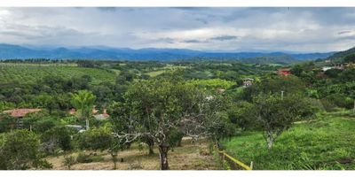 ? Lote en Venta en Las Margaritas - Cambia, Manizales ?

✨ Características del Terreno:


 Área Total: 1,509 m².
 Estrato: 1.
 Ubicación: A solo 15 minutos del CAI de Cambia, en el sector Las Margaritas, vía Pacífico 3.


? Ventajas del Lote:


 Vista Panorámica: Disfruta de paisajes espectaculares rodeados de naturaleza.
 Entorno Natural: Árboles frutales, zonas verdes y espacio ideal para actividades al aire libre.
 Versatilidad: Perfecto para desarrollar proyectos turísticos, zona de camping o una finca campestre.


? Ubicación Estratégica:


 Sector tranquilo y en contacto con la naturaleza.
 Acceso fácil y cercano a zonas urbanas.


? ¡Una oportunidad única para construir tu sueño en un entorno natural y relajado!

? Contáctanos para más información o para agendar una visita.


 
