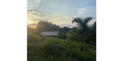 ? Venta de Lote en El Arenillo, Manizales | Lotes Campestres en Venta

¡Construye tu hogar ideal en este espectacular lote campestre, ubicado en el tranquilo y deseado sector de El Arenillo, Manizales! Perfecto para quienes buscan disfrutar de la naturaleza con acceso a los servicios necesarios para una vida cómoda.

? Área del Lote: 2.338,16 m²
? Características:


 Servicios Públicos: Acceso a la red de acueducto de Manizales y red eléctrica de la CHEC, lo que asegura una conexión eficiente a agua y energía.
 Alcantarillado: El sistema se desarrolla de forma individual, proporcionando la flexibilidad para implementar soluciones personalizadas.
 Configuración Ideal: Lote con excelente topografía, perfecto para el desarrollo de una vivienda campestre con diseño a tu medida.
 Vecindario Tranquilo: El lote está rodeado de un entorno agradable, con vecinos que comparten el mismo estilo de vida campestre, ideal para disfrutar de paz y privacidad.


? Ubicación: A tan solo unos minutos de la ciudad, este lote ofrece la combinación perfecta entre tranquilidad rural y la cercanía a los servicios de Manizales.

? Precio: ¡Contáctanos para más detalles sobre este lote y empieza a planear tu futuro en este hermoso entorno campestre!


 
