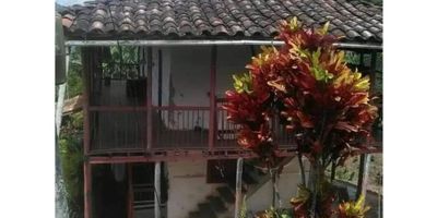 ¡Una excelente oportunidad para adquirir una finca al sur de Neira, Caldas, con un área de terreno de 108.800 m2 y una construida de 120 m2, ofreciendo una área privada de 120 m2!

Dispone de seis alcobas, dos baños, dos niveles, además de una espectacular vista panorámica para disfrutar. Sus características internas incluyen un balcón, un baño auxiliar en su habitación principal, una despensa, una doble ventana, un trastero y es unifamiliar.

El área externa es verdaderamente increíble, con árboles frutales, áreas turísticas, bosques nativos, calles de tosca, cerca de la zona urbana, colegios / universidades, un galpón, un precioso jardín y parques cercanos, así como una pesebrera.

Es una propiedad perfecta para disfrutar de la tranquilidad de la zona con todas las comodidades a unos pasos. ¡No deje pasar la oportunidad de adquirir esta exclusiva finca y haga una oferta ahora!


 Cuenta con 17 cuadras sembradas en cafe y plátano. 
 Tiene Elda y beneficiadero de cafe.
 Entra carro hasta la casa.
 Tiene 3 cocheras y arboles frutales
 Tiene montaje para fabricar ladrillos ? macizo
 Tiene agua propia y de acueducto, energía




Contáctanos hoy ☝
