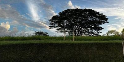 Venta de Lote Campestre – Si te gusta vivir rodeado de naturaleza y en un lugar exclusivo este es el proyecto ideal para ti y tu familia.
Ubicación privilegiada: Se encuentra en el sector de Malabar, Cerritos, en el kilómetro 9 de la vía Pereira-Cerritos, a tan solo 15 minutos de Pereira y cerca del Aeropuerto Internacional Matecaña.
Características del sector: Zona con alto potencial de valorización, ideal para inversión. Cercanía a grandes centros comerciales, el Hotel Sonesta, el Bioparque Ukumarí, y varias instituciones educativas. Proyectos en desarrollo, como clínicas, que hacen de esta zona una excelente combinación de la magia del campo con las comodidades de la ciudad.
Un lugar tranquilo, exclusivo y con futuro prometedor. No dejes pasar la oportunidad de ser parte de este maravilloso proyecto.
¡Contáctanos ahora para mas información!