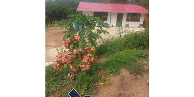 Casa lote en venta, LA MESA-VEREDA LAGUNA VERDE

 3.200 m2 , terreno ondulado, Arboles frutales, Energía electrica, Agua y acueducto veredal. Uso del suelo: agrícola.

Ingreso por la via La Mesa - Anapoima, 1 km cerca al peaje San Pedro, y a 3.5 kms por vía veredal. Estrato 1 ruraL.
