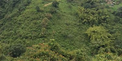 SE VENDE!! LOTE, vereda el Jordán, cuenta con un total de, 500 mts2, a solo 5 minutos de la avenida principal, después de el santuario el Jordán. ubicado en una zona de cómodo y fácil acceso vehicular, un lugar rodeado de naturaleza y tranquilidad. Contáctanos!!