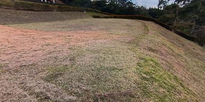 Lotes con topografía ondulada, con bosque nativo, con cerramiento perimetral y apertura satelital, libre de administración, excelente ubicación, zona de alta valorización. Cada lote se entrega con la explanación para la casa.