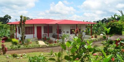 FINCA PARA LA VENTA EN FILANDIA (Quindio) uno de los municipios mas bellos de Colombia,ideal para combinar el descanso y disfrute familiar. 
Son 5 hectareas de tierra fértil aptas para cultivo de plátano,  frutales y  cria de  ganado. La casa tiene Doscientos metros cuadrados de construcción,  3 habitaciones, cocina amplia, zona social generosa, baños . La casa se encuentra a pocos metros de la via principal Filandia - Quimbaya.
 Este lugar ofrece comodidad y espacio para todos. Rodeada de naturaleza, la finca proporciona un entorno tranquilo y amplio lleno de cultivos para su cuidado. Amplias áreas sociales al aire libre, ofrecen la flexibilidad perfecta para tener cultivos.  Un rio delimita la Finca y cuenta con pozo septico.
Además, su ubicación estratégica combina la serenidad del entorno natural con la cercanía a la ciudad; a tan solo 10 minutos de Filandia , media hora de Pereira y a media hora del Parque del cafe.
 La finca es ideal para la construcción de un hotel o restaurante. 
No desaproveche esta oportunidad de inversión.