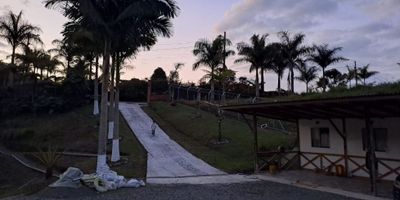 Esta hermosa casa campestre en venta se encuentra ubicada en la encantadora ciudad de Pereira, en el departamento de Risaralda. Con una extensión de terreno de 3800 m2 y una construcción de 200 m2, esta propiedad es ideal para aquellos que buscan un hogar rodeado de naturaleza y tranquilidad.

La casa cuenta con 3 acogedoras alcobas y 2 baños, perfectos para una familia que desea disfrutar de espacios amplios y cómodos. Además, ofrece 10 amplios garajes, por lo que no tendrás problemas de estacionamiento para tus visitas o vehículos personales.

En su interior, podrás encontrar una moderna cocina integral y un espacioso comedor de concepto abierto, lo que permite una mayor interacción entre las áreas sociales. Además, cuenta con un depósito y zona de lavandería, lo que brinda un mayor orden y comodidad en la casa.

Esta propiedad también es ideal para aquellos que quieran incursionar en el negocio del hospedaje turístico, ya que cuenta con todas las comodidades necesarias para ofrecer una experiencia de lujo a sus huéspedes.

En cuanto a sus características externas, la casa está rodeada de hermosos árboles frutales y bosques nativos, lo que brinda una sensación de paz y conexión con la naturaleza. Su ubicación en una zona campestre y rodeada de zonas verdes garantiza un ambiente tranquilo y relajado para sus habitantes.

Además, su cercanía a áreas turísticas y a un río/quebrada cercano la convierten en un lugar perfecto para aquellos que buscan una experiencia de vida en contacto con la naturaleza y a la vez, con fácil acceso a entretenimiento y actividades al aire libre.

No dejes pasar la oportunidad de adquirir esta increíble casa campestre con todas las comodidades que necesitas, y disfruta de una vida en un entorno natural de ensueño. Contáctanos hoy mismo y hagamos realidad tu sueño de vivir en una propiedad de lujo en Pereira.
