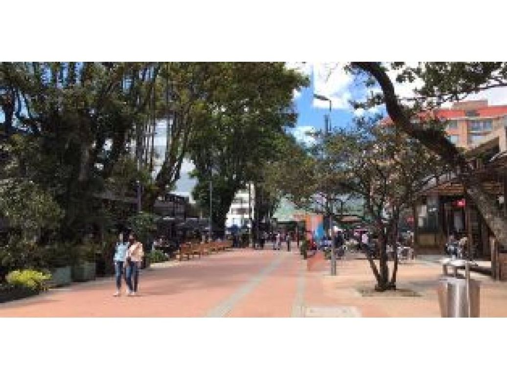 Apartamento de 2 alcobas en venta en La Cabrera, Bogotá, 206 m² · foto 4 de 6