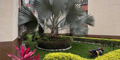 Apartamento Primer piso, remodelado, ubicado en el Conjunto Residencial Torres de Comfandi, Conjunto O, con 55M2 construidos aproximados. Consta de: Sala comedor, cocina integral, 3 habitaciones, 2 tienen con closet, la principal cuenta con baño, baño social, zona de oficios, parqueadero comunitario. La unidad cuenta con zonas verdes, parque con juegos infantiles Conjunto cerrado, con seguridad y excelente vecindario El apartamento cuenta con todos los servicios necesarios para tu confort y se encuentra en un conjunto residencial tranquilo y bien ubicado, ideal para vivir con tu familia. 

Su ubicación se encuentra a una cuadra de supermercados, cerca de importantes centros comerciales, almacenes de cadena como D1, Dollarcity y La 14, este apartamento es la opción ideal para quienes buscan comodidad, acceso y una excelente ubicación. A solo 20 minutos del aeropuerto, tendrás fácil acceso a todos los servicios y principales puntos de la ciudad. (SBI-NA)