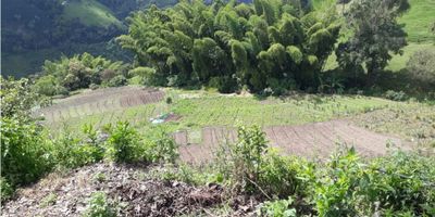 ? Lote en Venta en La Siria, Manizales | ¡Invierte en tierra con potencial! ?

Se ofrece el Lote 4 en proindiviso, ideal para quienes buscan una inversión en propiedad raíz con opción de desarrollo.
Cuenta con una participación sobre un área total de 2617 m², ubicado en una zona tranquila, de estrato 2, con acceso a amplias zonas verdes y ambiente campestre.

? Oportunidad perfecta para proyectos a mediano plazo o inversión en terrenos rurales.
? Contáctanos para más detalles sobre la participación y el proceso de compra.


 
