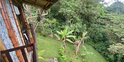 Tu nuevo comienzo empieza hoy.

Se vende local comercial campestre en el sector de la Cuchilla del Salado.Acceso a trasnporte público sobre vía principal, excelente ubicación. Cuenta con 3 baños,2 alcobas,balcón,gas y calentador, terraza y pisos en madera lacada.  La construcción es en ferroguadua artesanal.
