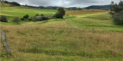 Código: 841FR2805 Venta de espectacular finca con uso de suelo de actividad agrícola, ubicado en la Vereda la Carbonera en el municipio de Motavita, cuenta con tres mil ochocientos metros cuadrados, un aljibe, una casa para restaurar con tres habitaciones, un baño y cocina con estufa a leña, tiene los servicios de agua y luz a tan solo ocho minutos del parque central de Motavita.

¡Libre de hipotecas! Para mayor información contáctanos...
