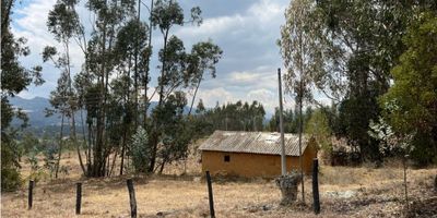 Código: 898FR9033 Venta de espectacular lote ubicado en la vereda Alcaparral del municipio de Firavitoba a cinco minutos de la cabecera municipal, con un area total de seis mil cuatrocientos metros cuadrados, cuenta con una casa en adobe (no habitable) con punto de agua y de luz, se acepta permuta como parte de pago.

¡Libre de hipotecas! Para mayor información contáctanos...
