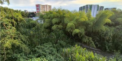 CODIGO: 762FR1945

es en una casa de 4 pisos el segundo piso. cuenta con las comodidades para alojara una familia amplia la estructura es en material bien revocado y terminado las habitaciones son amplias y cuentan con su respctivo closet tiene des baños con ducha y lavamanos. la cocina es integral con sus respectivos cajoneros. la sala es amplia , el balcon tiene buena vista hacia la calle principal, em el patio hay una ventana para observar los bosques nativos y la quebrada que pasa por detras de la casa a unos 50 metros.

caracteristicas del lugar; hay buen servicio de trnasporte, hay varios supermercados y droguerias en frente, la distancia a pereria centro es de 10 minutos en automovil, lo que lo hace un lugar perfecto para vivir y encontrar las universidades y colegios.
