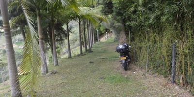Vendo lote ubicado en el municipio de Guarne Antioquia. Cuenta con un área del lote de 2.500m2, el lote especial para construir la casa de sus sueños con ambiente tipo campestre, rodeado de la naturaleza.

El lote se encuentra ubicado cerca a la autopista Medellín - Bogotá, al alto de la virgen y fácil acceso al transporte público.
