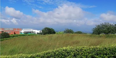 Te presentamos la oportunidad de adquirir un lote/terreno exclusivo en Pereira, uno de los municipios más prósperos y prometedores de Risaralda. Este inmueble cuenta con un amplio espacio de 1962 M2, convirtiéndolo en la opción perfecta para construir la casa de tus sueños. Con una ubicación privilegiada, este terreno ofrece una vista panorámica espectacular que te brindará tranquilidad y armonía en tu día a día.

Además, este lote cuenta con características internas que lo hacen único y exclusivo. Gracias a su extensión de 1962 M2, tendrás la libertad de diseñar una construcción a tu medida y cumplir todas tus expectativas. Su entorno natural te brindará la oportunidad de disfrutar de un ambiente natural y relajante, lejos del estrés de la ciudad. Sin duda, un oasis dentro de la ciudad.

Al adquirir este lote, también tendrás acceso a un entorno externo sin igual. Este terreno está rodeado de bosques nativos que te permitirán respirar aire puro y conectarte con la naturaleza. Además, se encuentra ubicado en una urbanización cerrada, lo que garantiza tu seguridad y privacidad. Sin duda, un lugar ideal para vivir en paz y tranquilidad junto a tu familia.

No pierdas la oportunidad de invertir en esta zona campestre de Pereira, una ciudad que se destaca por su alto crecimiento económico y su excelente calidad de vida. No esperes más, contáctanos y haz realidad tus sueños con este lote de 1962 M2 que te ofrece todo lo que necesitas para construir el hogar perfecto en un lugar privilegiado. ¡Te esperamos para asesorarte en esta inigualable oportunidad inmobiliaria!
