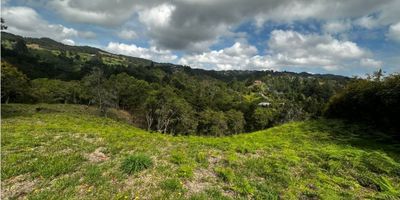 Te presentamos un lote de 11,464 m² en Vereda Pantanillo, Sector Charco Azul, a solo minutos de la ciudad, en la ruta hacia el Aeropuerto por la variante de Las Palmas, antes del peaje.

? Ideal para vivienda campestre:
Con uso principal para parcelación de vivienda tipo campestre, este lote tiene densidad de 3,8 viviendas por hectárea y altura máxima de 2 pisos. Un lugar perfecto para tu proyecto soñado.

? Entorno natural único:
Rodeado de bosques nativos y con zona de protección de bosque, además de acceso a retiradas de quebradas, garantiza un ambiente saludable y seguro.

? Gran proyección y desarrollo:
Ubicado cerca de colegios, universidades, jardines infantiles, y centros comerciales como Mall Indiana y Mall Lemont, en una zona de alta valorización.

? Con estudios y levantamiento topográfico.

¡Invierte en tu futuro! Contáctanos y descubre más.
