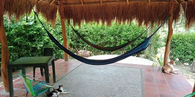 ¡Increíble Oportunidad de Inversión en Baranoa!
Venta de Finca en Baranoa - 2 Hectáreas con Frutales y Amplia Vivienda
Ubicada en una zona privilegiada de Baranoa Esta finca de 2 hectáreas te ofrece el balance perfecto entre vida campestre y comodidad Con una gran variedad de frutales y amplias instalaciones es ideal para quienes buscan un lugar tranquilo pero cercano a la ciudad Potencial para desarrollar proyectos agropecuarios o simplemente disfrutar de la naturaleza
Terreno: 2hectáreas(20,000 m²) Criadero para Cerdos y Gallinas; Potrero
Vivienda:3 habitaciones (1 con baño privado)1 baño social Amplia sala para disfrutar en familia Cocina amplia
3 corredores amplios para una ventilación natural y vistas a los jardines Garaje para vehículos
Amplio Kiosco para momentos de descanso al aire libre
Todos los servicios públicos: Luz - Agua - Gas
Pozo subterráneo Alicante
Contáctanos para que conozcas este hermoso entorno de la naturaleza cerca de la ciudad¡¡¡