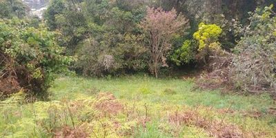 Vista privilegiada, con nacedero y tres tanques de almacenamiento de agua perfectamente potable. A menos de un kilometro de la vía ppal Boq-LaCalera.