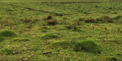 Lote en zona franca de Tocancipá zona urbana tipografía plana con todos los servicios cerca a comercio y servicios.